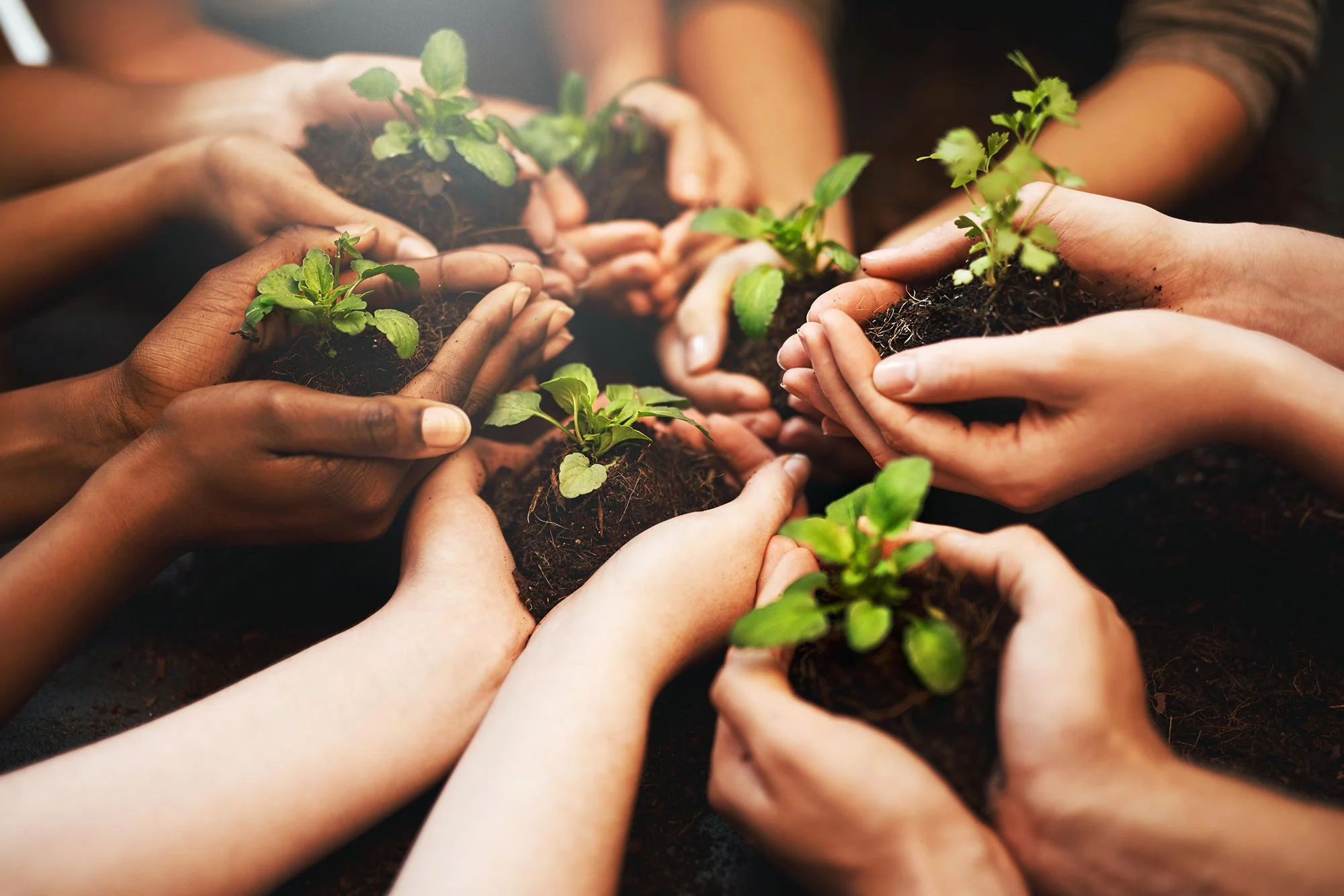Plants-Hands-Dirt-Earth-Day-too-verbonden