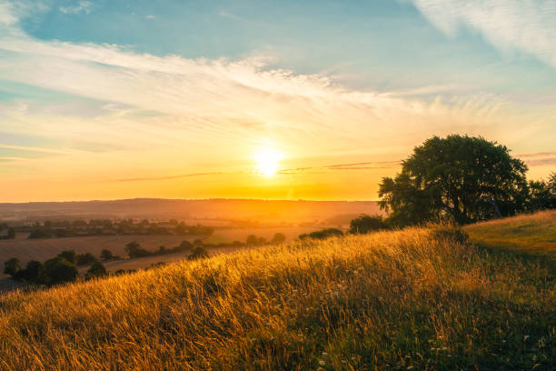 Farmland Agricultural Field at Ivinghoe Beacon, Buckinghamshire, UK